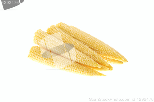 Image of Pile of baby corn isolated on white background