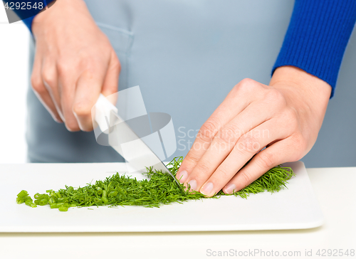 Image of Cook is chopping green dill