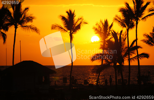 Image of Hawaii, USA, Sunset