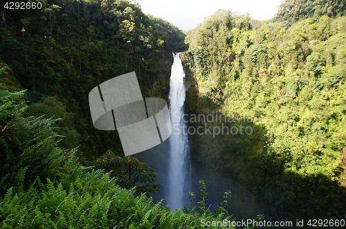 Image of Hawaii, United States of America