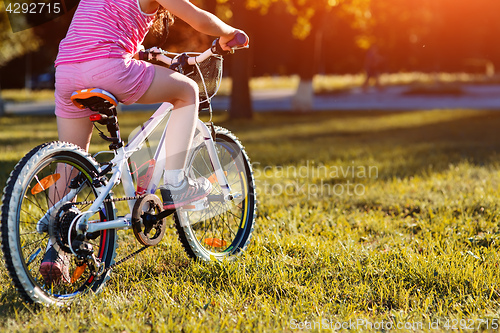 Image of Little girl on a bicycle in summer park