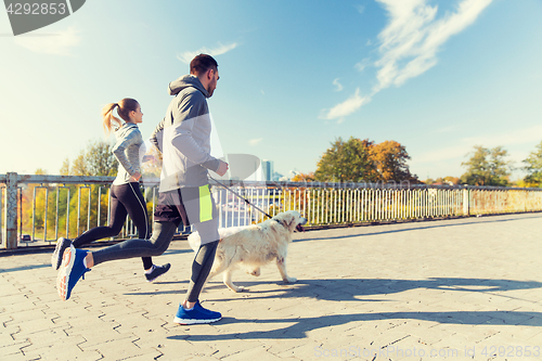 Image of happy couple with dog running outdoors