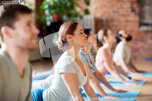 Image of group of people doing yoga cobra pose at studio