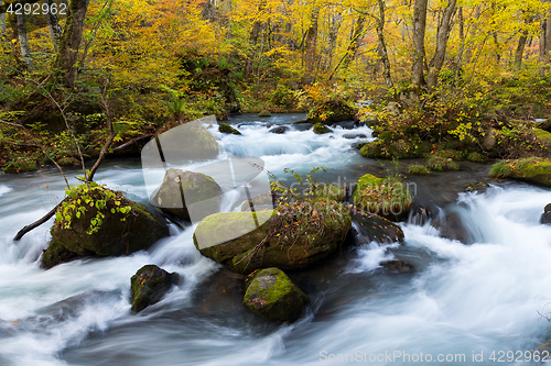 Image of Waterfall in Oirase stream at Towada