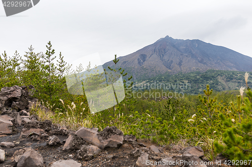 Image of Mt. Sakurajima 