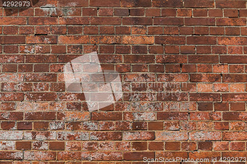 Image of Vintage red brick wall