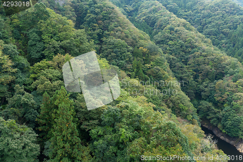 Image of Ryujin Valley