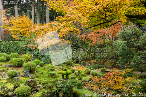 Image of Japanese temple in autumn