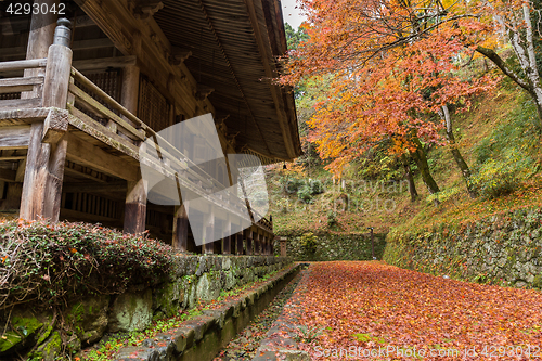 Image of Traditional Japanese temple at autumn