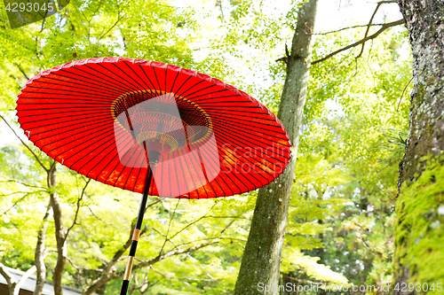 Image of Red umbrella in the park