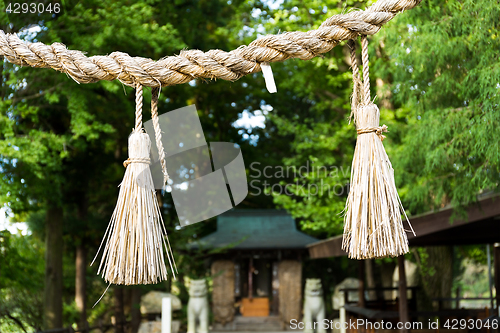Image of Shinto symbol rope from rice straw in temple
