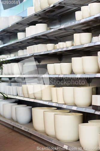 Image of flower pots on shelves at garden shop