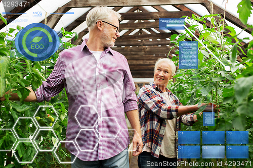 Image of happy senior couple at farm greenhouse