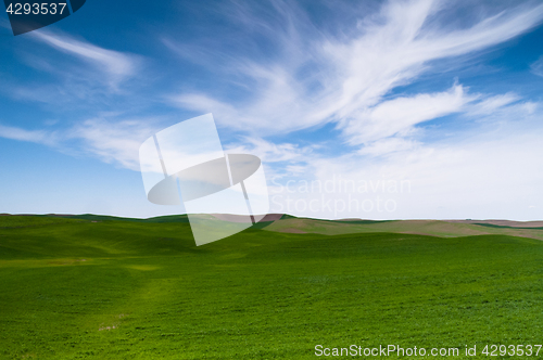 Image of Green Agricultural Field Farm Blue Skies Country