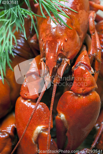 Image of boiled crawfish