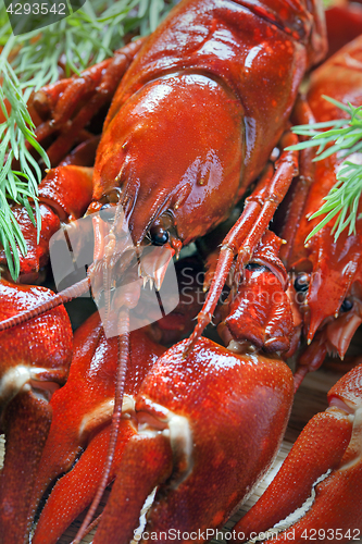 Image of boiled crawfish, close up