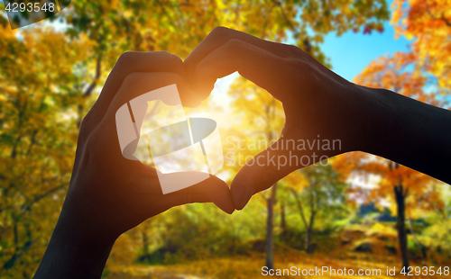 Image of Silhouette of the heart hand gesture