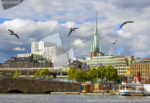 Image of STOCKHOLM, JUNE 28, 2017:Stockholm city at summer and birds flyi