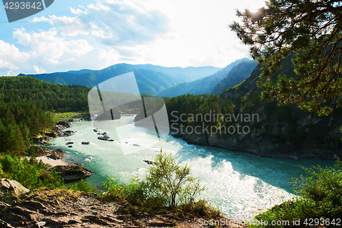 Image of Sunny day in mountain on river Katun