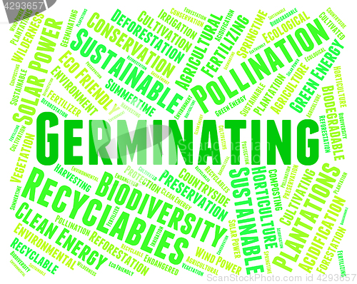 Image of Germinating Word Represents Growth Grows And Sowing