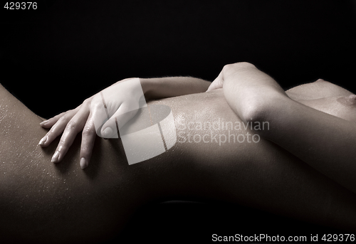 Image of bodyscape