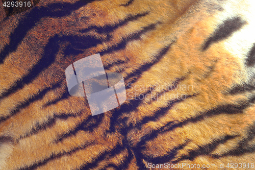 Image of fur of a tiger