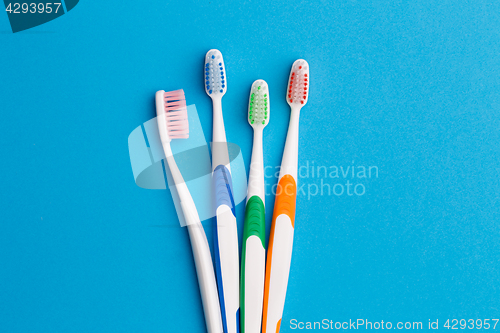 Image of Photo of four multi-colored toothbrushes