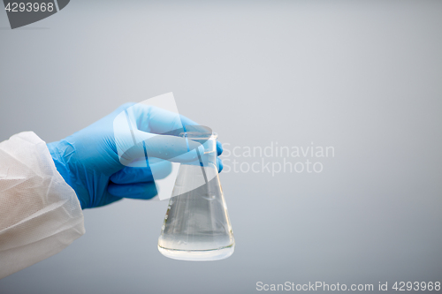 Image of Photo of hand with bulb