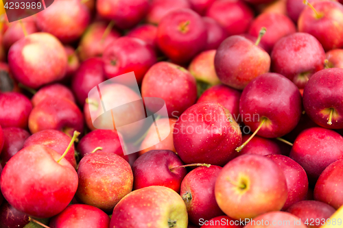 Image of Stack of apple