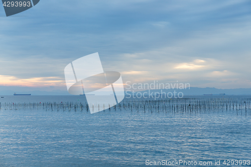 Image of Fish farm in the coast