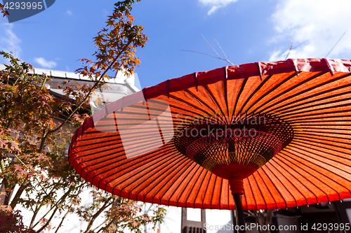 Image of Red umbrella and red maple leaves