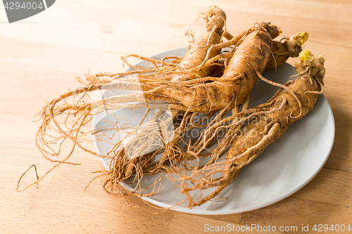 Image of Fresh Korea Ginseng