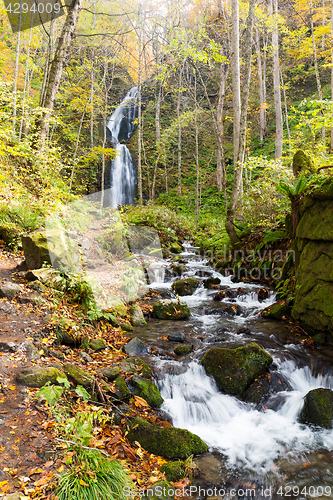 Image of Waterfall in Oirase Mountain Stream