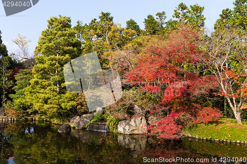 Image of Autumn Japanese Traditional Garden