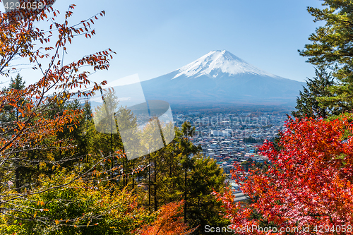 Image of Maple tree and Mount Fuji