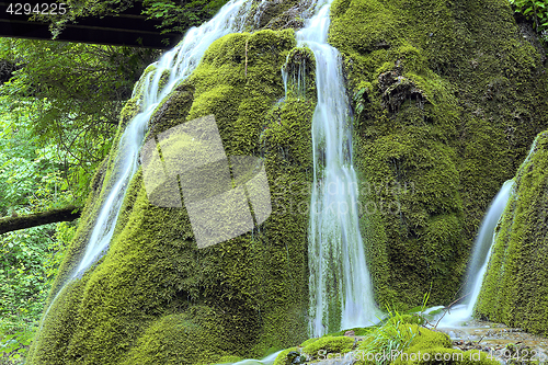 Image of beautiful cascade on mossy rock