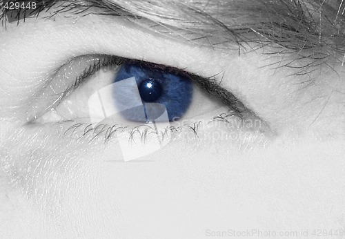 Image of blue eye