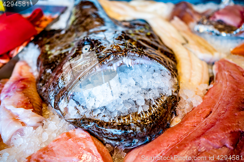 Image of Fish market