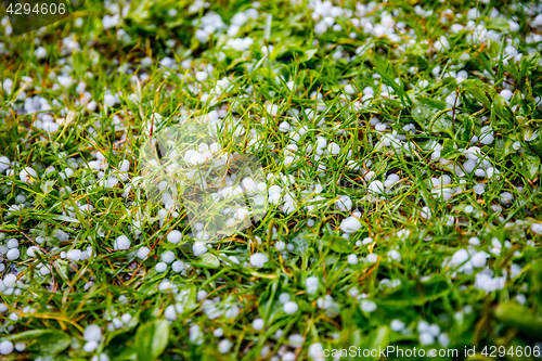 Image of Hail on the grass