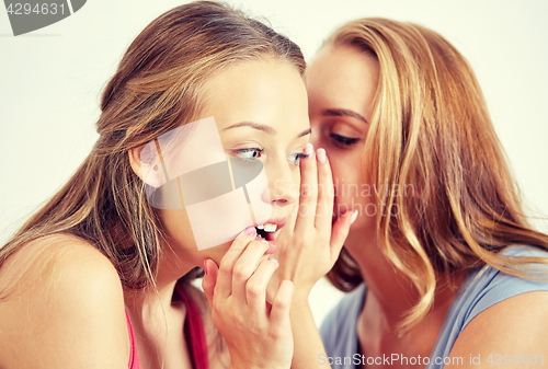 Image of happy young women whispering gossip at home