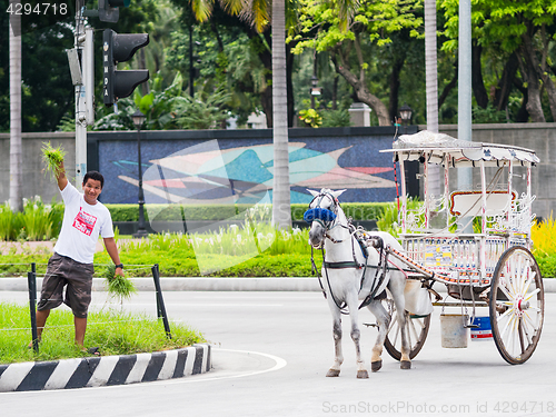 Image of Coachman feeding his horse