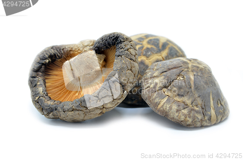 Image of Dried shitake mushroom