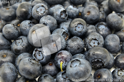 Image of Tasty blueberries isolated