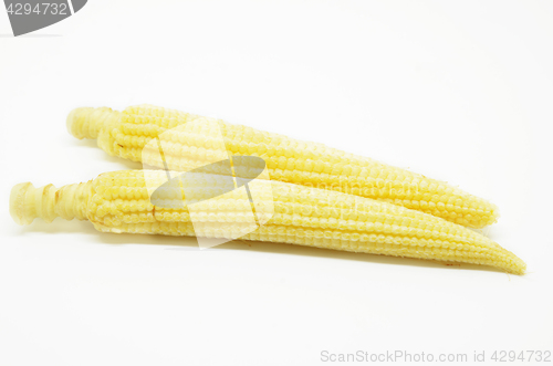 Image of Baby corn cobs