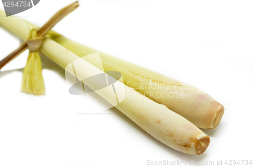 Image of Fresh lemon grass on white background