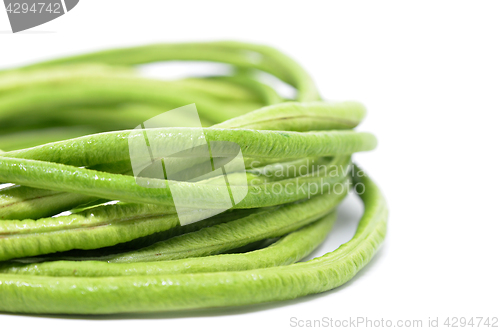 Image of Long bean isolated 