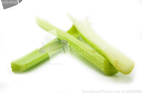 Image of Fresh green celery