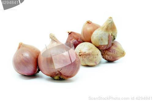 Image of Fresh red onion bulb 