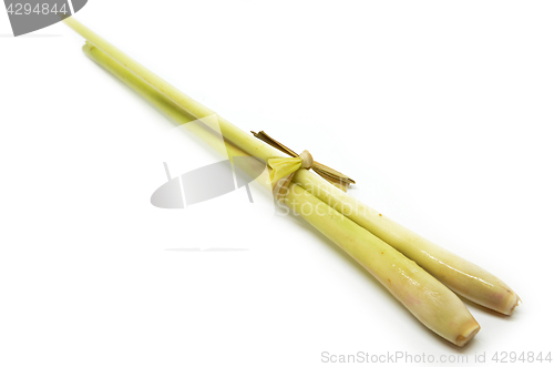 Image of Bundle of fresh lemongrass