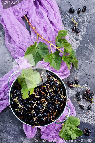 Image of black currant